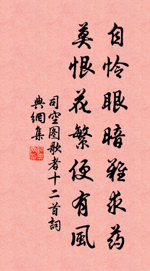 司空图自怜眼暗难求药，莫恨花繁便有风书法作品欣赏