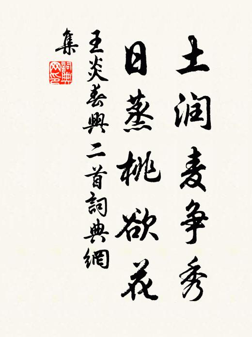 王炎土润麦争秀，日蒸桃欲花书法作品欣赏