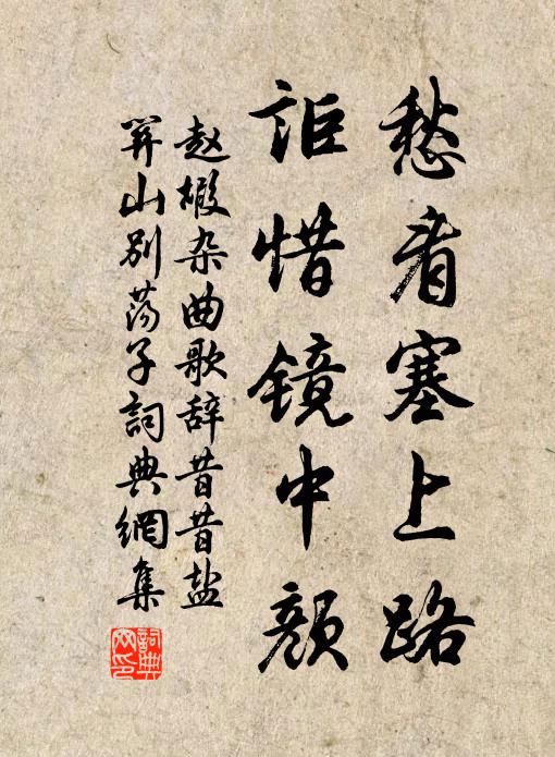 赵嘏愁看塞上路，讵惜镜中颜书法作品欣赏