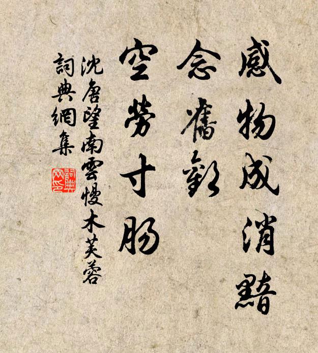 沈唐感物成消黯，念旧欢、空劳寸肠书法作品欣赏