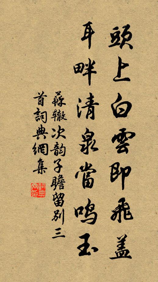 苏辙头上白云即飞盖，耳畔清泉当鸣玉书法作品欣赏