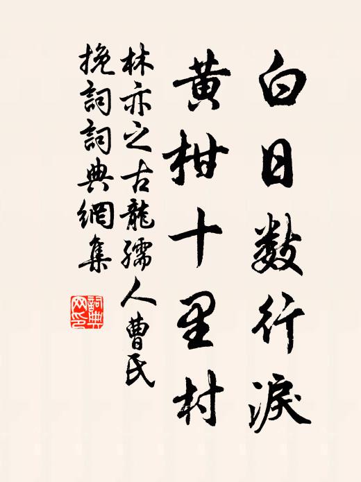 林亦之白日数行泪，黄柑十里村书法作品欣赏