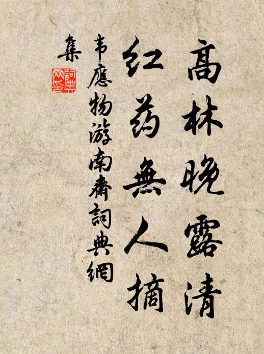 韦应物高林晚露清，红药无人摘书法作品欣赏