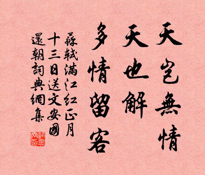 苏轼天岂无情？天也解、多情留客书法作品欣赏