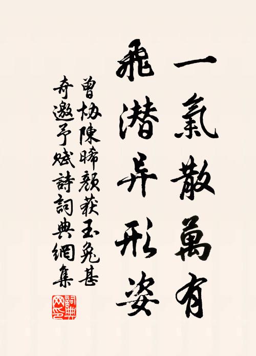曾协一气散万有，飞潜异形姿书法作品欣赏
