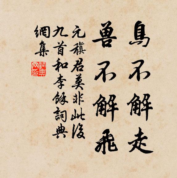 元稹鸟不解走，兽不解飞书法作品欣赏