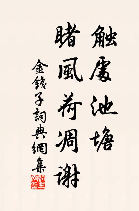 佚名触处池塘，睹风荷凋谢书法作品欣赏