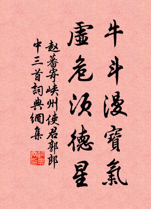 赵蕃牛斗漫宝气，虚危须德星书法作品欣赏
