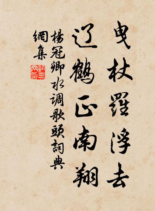 杨冠卿曳杖罗浮去，辽鹤正南翔书法作品欣赏