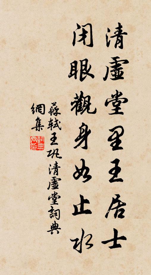 苏轼清虚堂里王居士，闭眼观身如止水书法作品欣赏