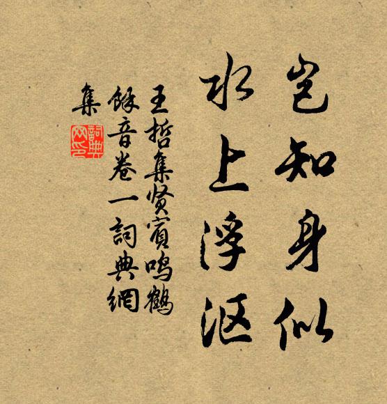 王哲岂知身似、水上浮沤书法作品欣赏