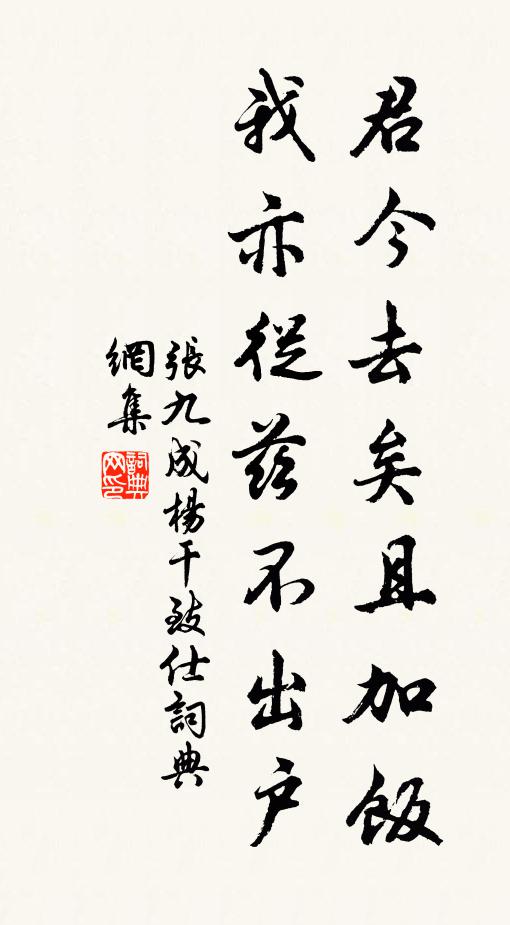 张九成君今去矣且加饭，我亦从兹不出户书法作品欣赏