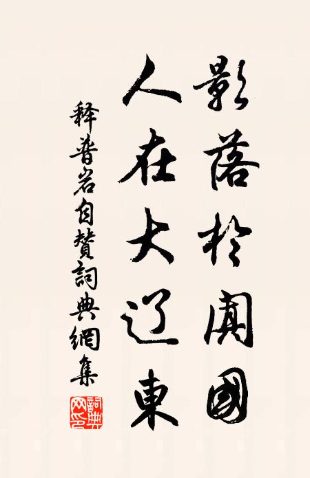 释普岩影落于阗国，人在大辽东书法作品欣赏