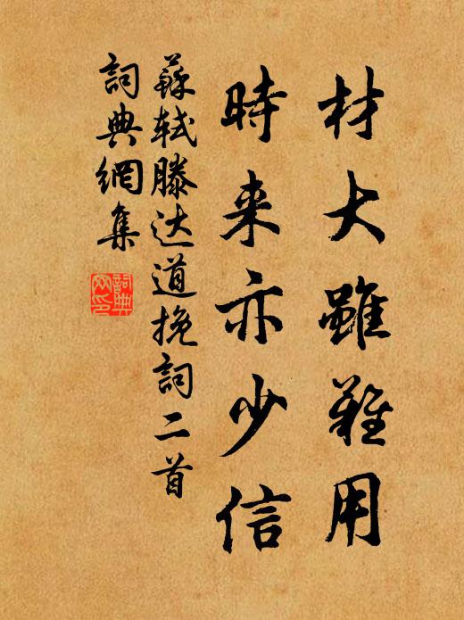 苏轼材大虽难用，时来亦少信书法作品欣赏
