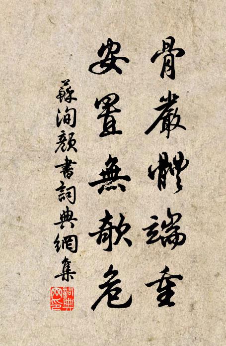 苏洵骨严体端重，安置无欹危书法作品欣赏