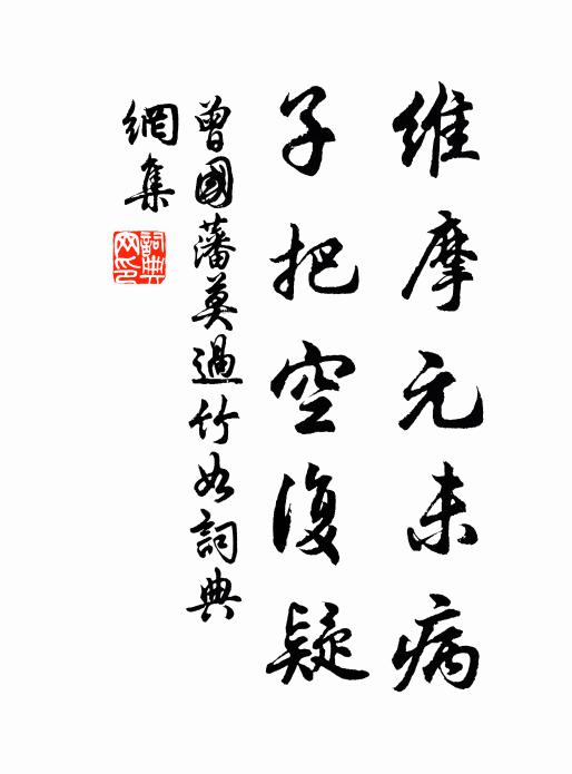 曾国藩维摩元未病，子把空复疑书法作品欣赏