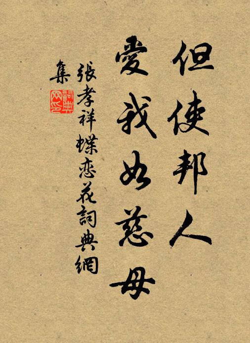 张孝祥但使邦人，爱我如慈母书法作品欣赏