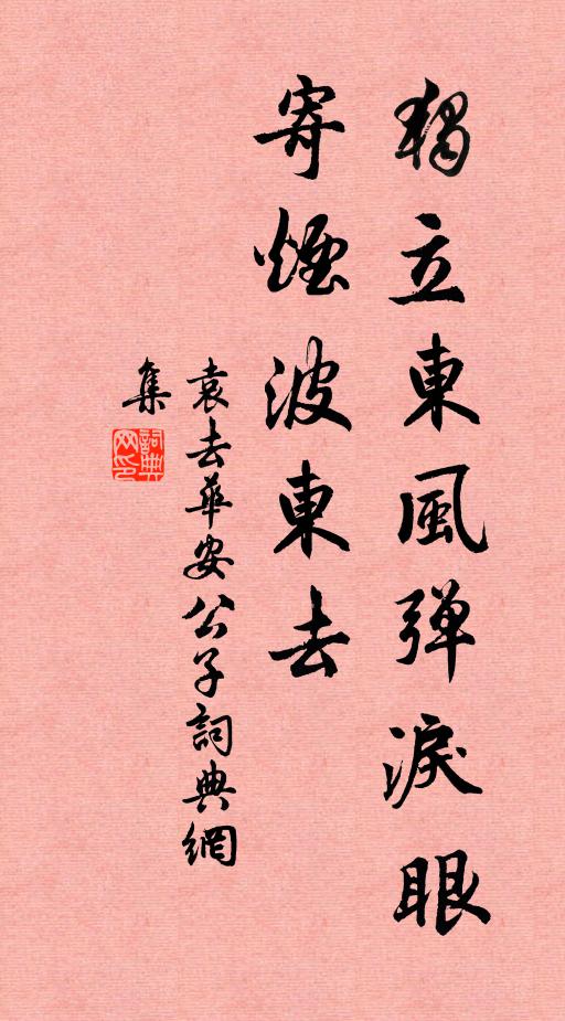 袁去华独立东风弹泪眼，寄烟波东去书法作品欣赏