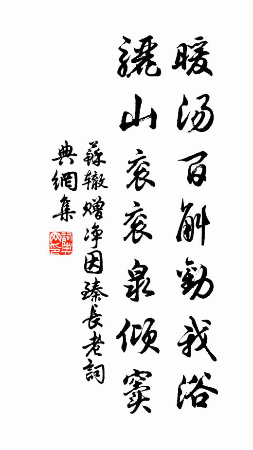 苏辙暖汤百斛劝我浴，骊山衮衮泉倾窦书法作品欣赏