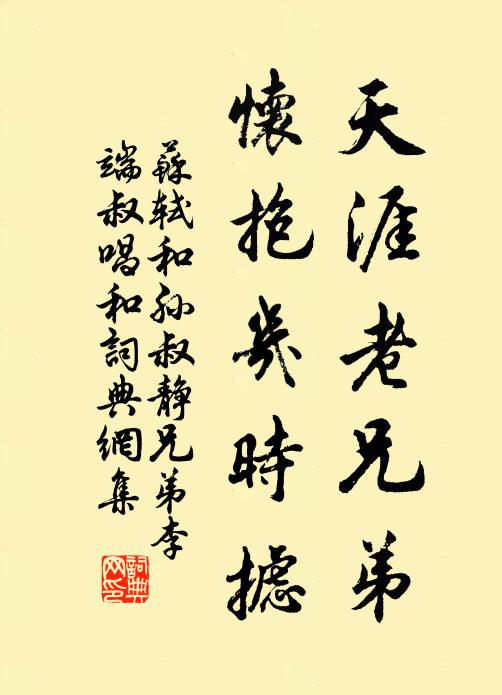 苏轼天涯老兄弟，怀抱几时摅书法作品欣赏