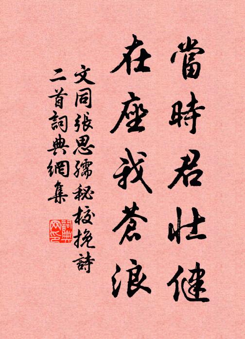 文同当时君壮健，在座我苍浪书法作品欣赏