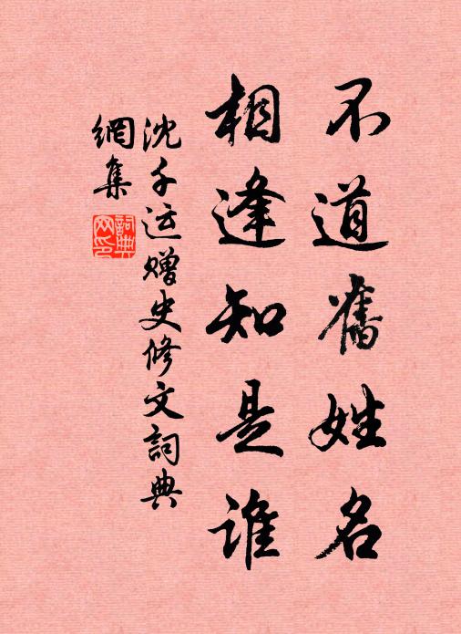 沈千运不道旧姓名，相逢知是谁书法作品欣赏