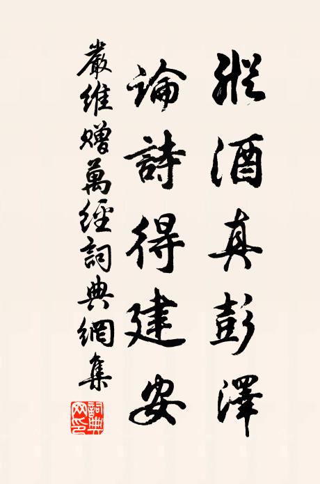 严维纵酒真彭泽，论诗得建安书法作品欣赏