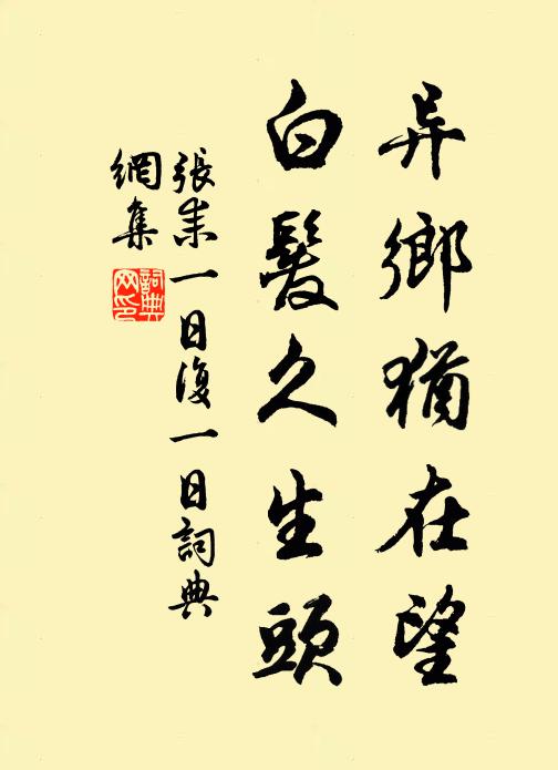 张耒异乡犹在望，白发久生头书法作品欣赏