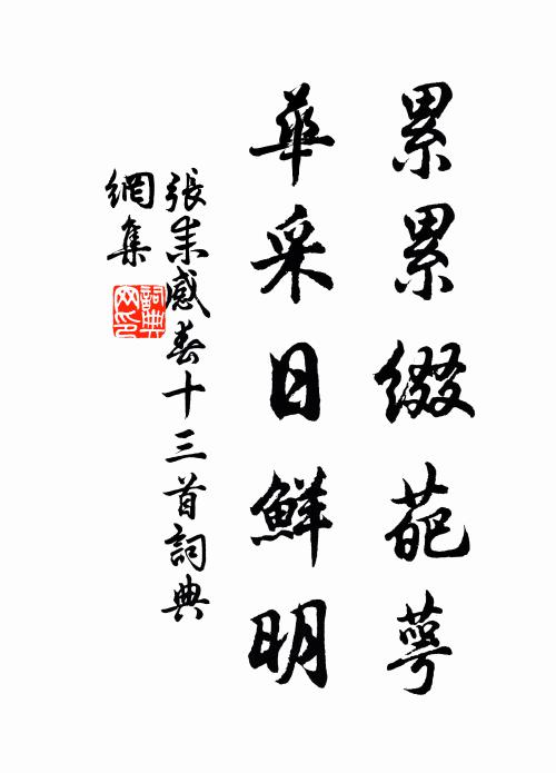 张耒累累缀葩萼，华采日鲜明书法作品欣赏
