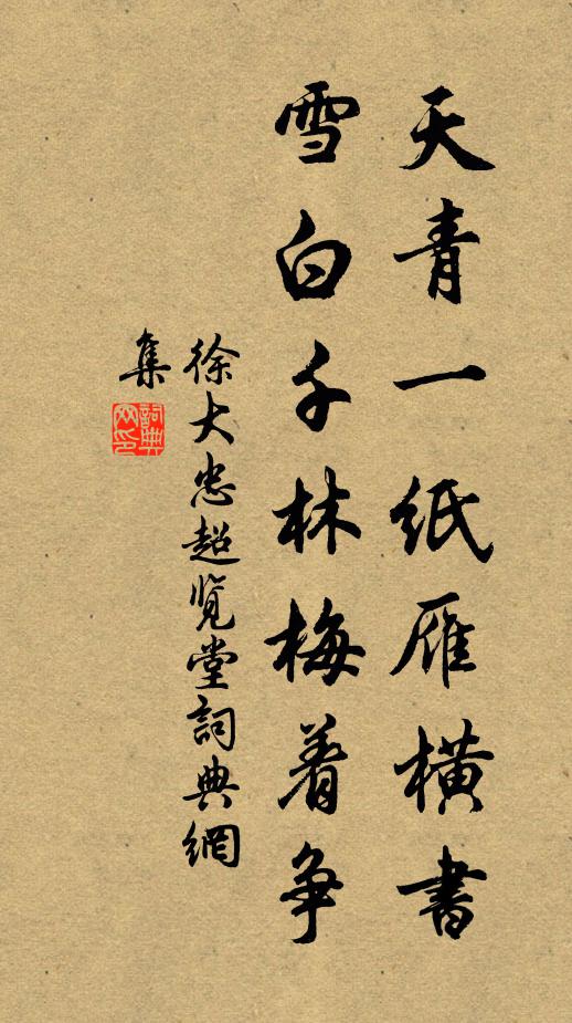 徐大忠天青一纸雁横书，雪白千林梅着争书法作品欣赏