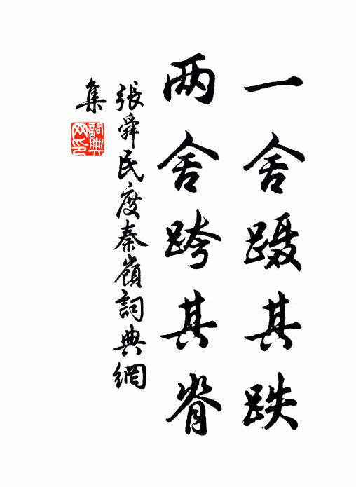张舜民一舍蹑其跌，两舍跨其脊书法作品欣赏