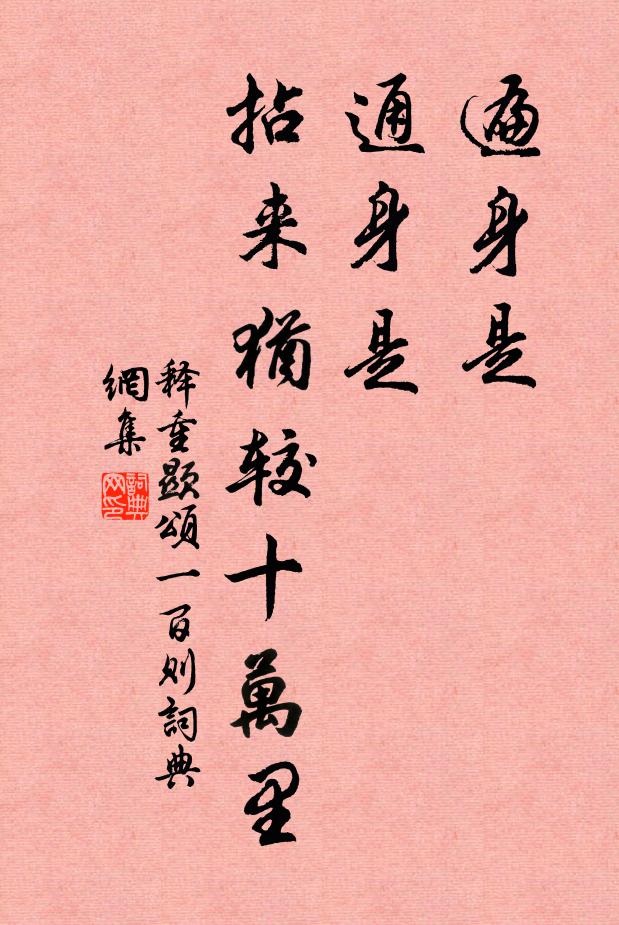 释重顯遍身是，通身是，拈来犹较十万里书法作品欣赏