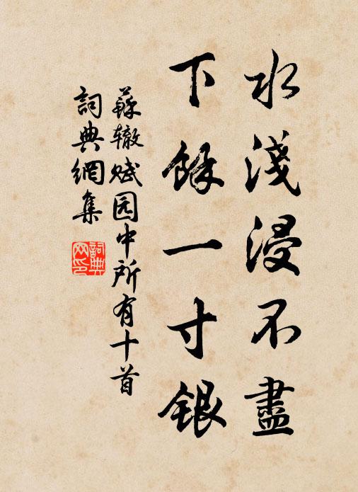 苏辙水浅浸不尽，下余一寸银书法作品欣赏