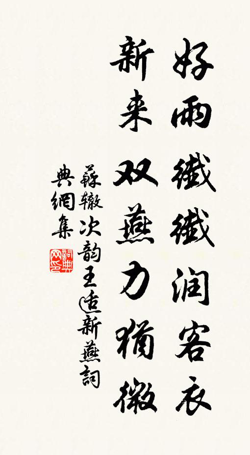 苏辙好雨纤纤润客衣，新来双燕力犹微书法作品欣赏