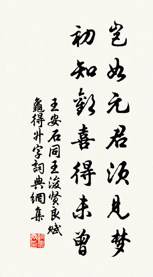 王安石岂如元君须见梦，初知欢喜得未曾书法作品欣赏