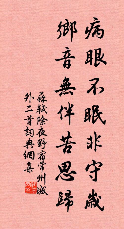 苏轼病眼不眠非守岁，乡音无伴苦思归书法作品欣赏