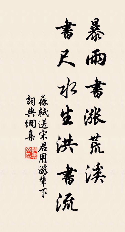 苏轼暴雨书涨荒溪,书尺水生洪书流书法作品欣赏