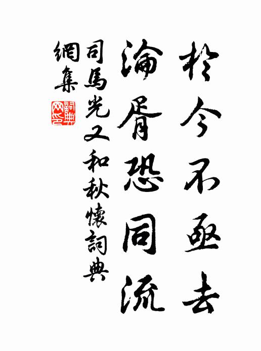 司马光於今不亟去，沦胥恐同流书法作品欣赏