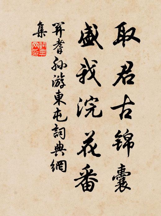 关耆孙取君古锦囊，盛我浣花番书法作品欣赏