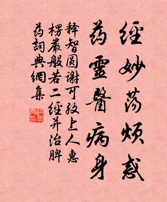 释智圆经妙荡烦惑，药灵医病身书法作品欣赏