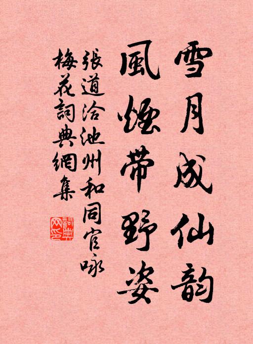张道洽雪月成仙韵,风烟带野姿书法作品欣赏