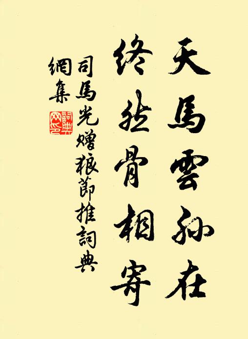 司马光天马云孙在，终然骨相寄书法作品欣赏