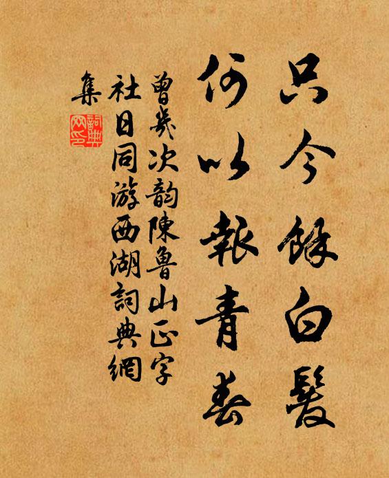 曾几只今馀白发，何以报青春书法作品欣赏