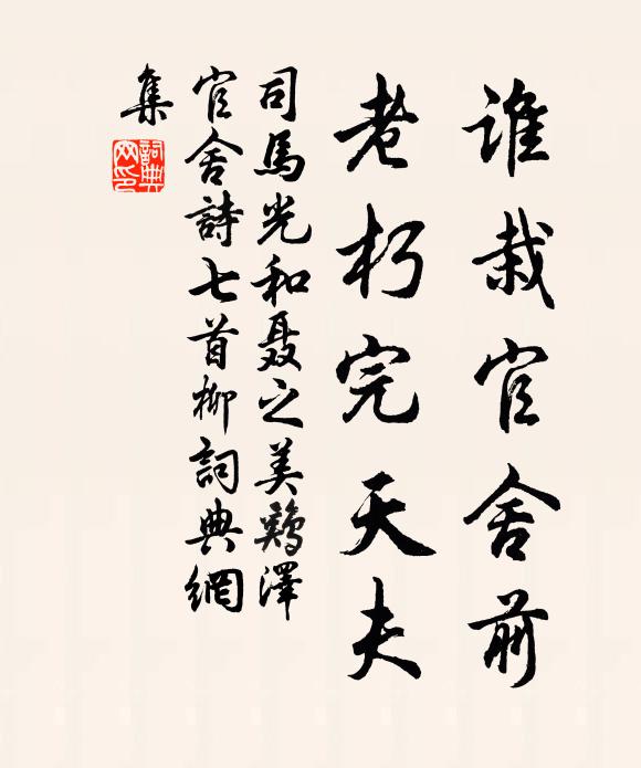 司马光谁栽官舍前，老朽完天夫书法作品欣赏