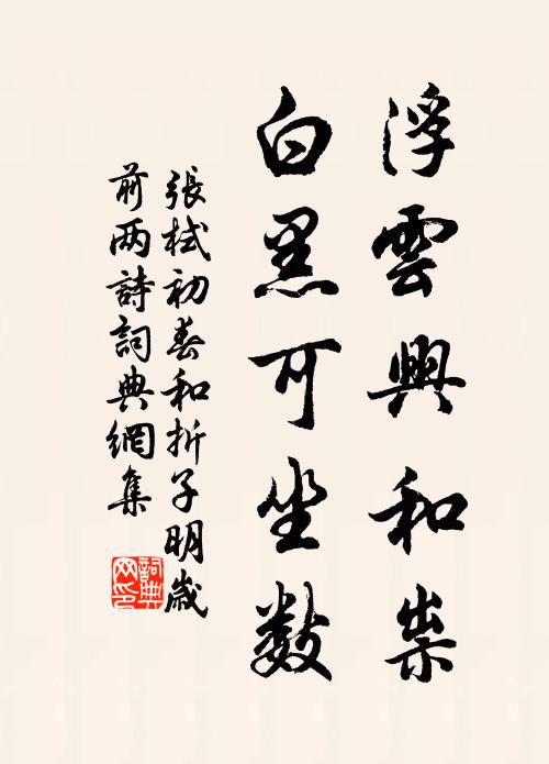 张栻浮云兴和祟，白黑可坐数书法作品欣赏