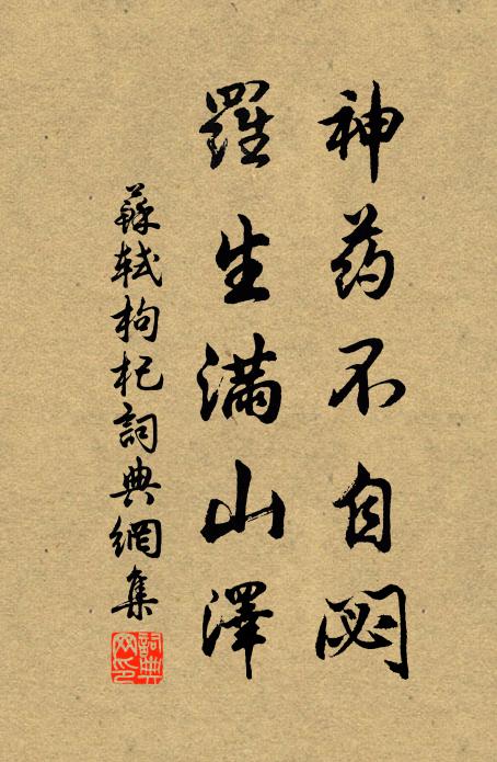 苏轼神药不自閟，罗生满山泽书法作品欣赏
