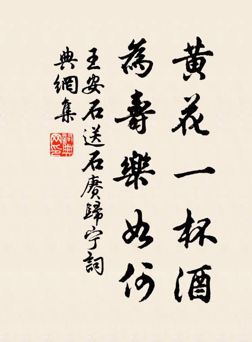 王安石黄花一杯酒，为寿乐如何书法作品欣赏