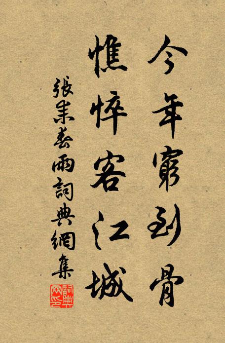 张耒今年穷到骨，憔悴客江城书法作品欣赏