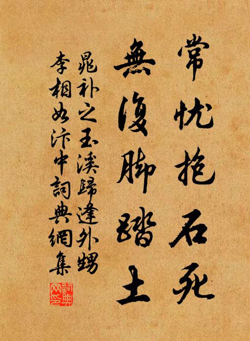 晁补之常忧抱石死，无复脚踏土书法作品欣赏