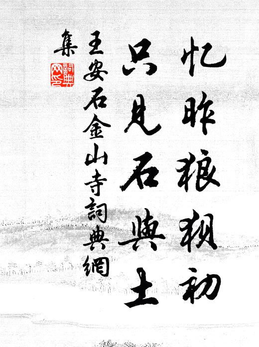 王安石忆昨狼狈初，只见石与土书法作品欣赏
